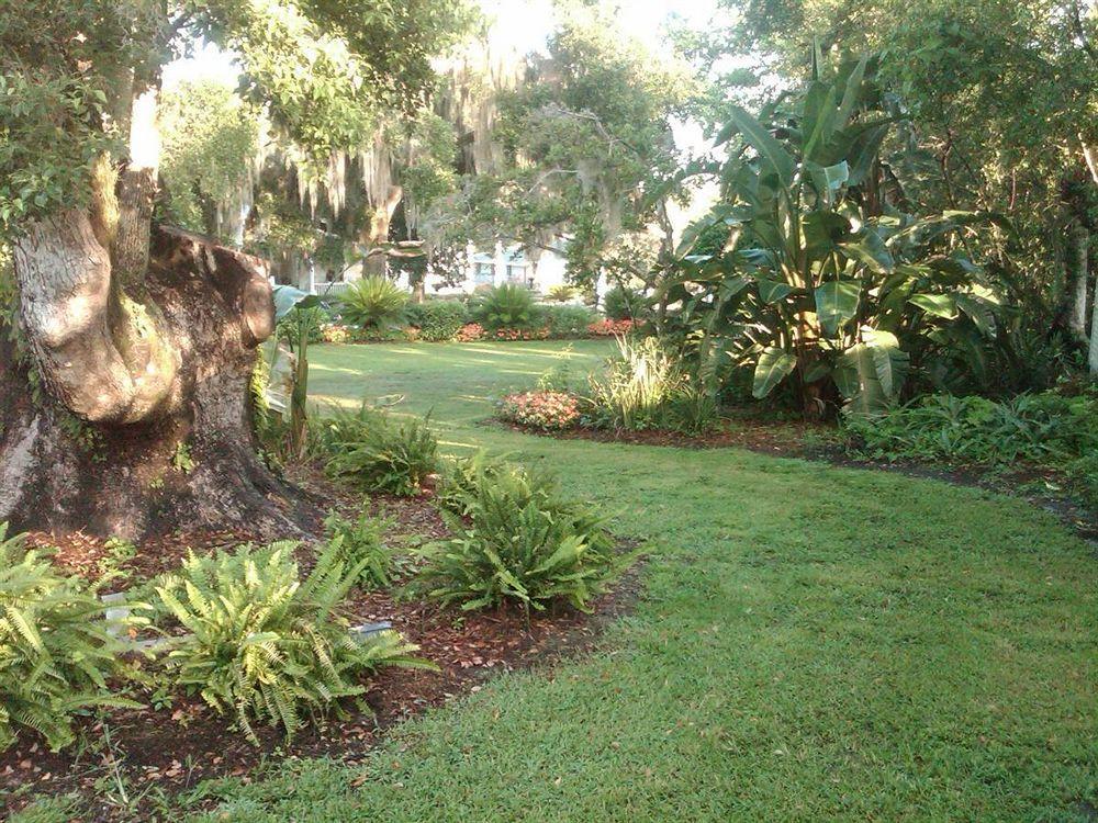 Lakeside Inn On Lake Dora Mount Dora Exteriér fotografie